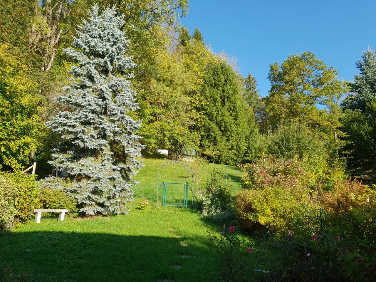 Blick in's Grüne - eigener Garten