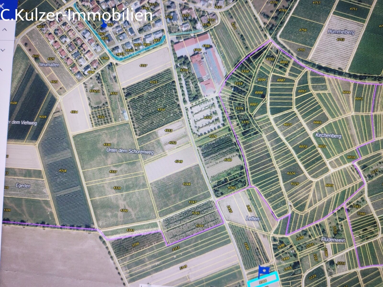 Flurstück 3366
