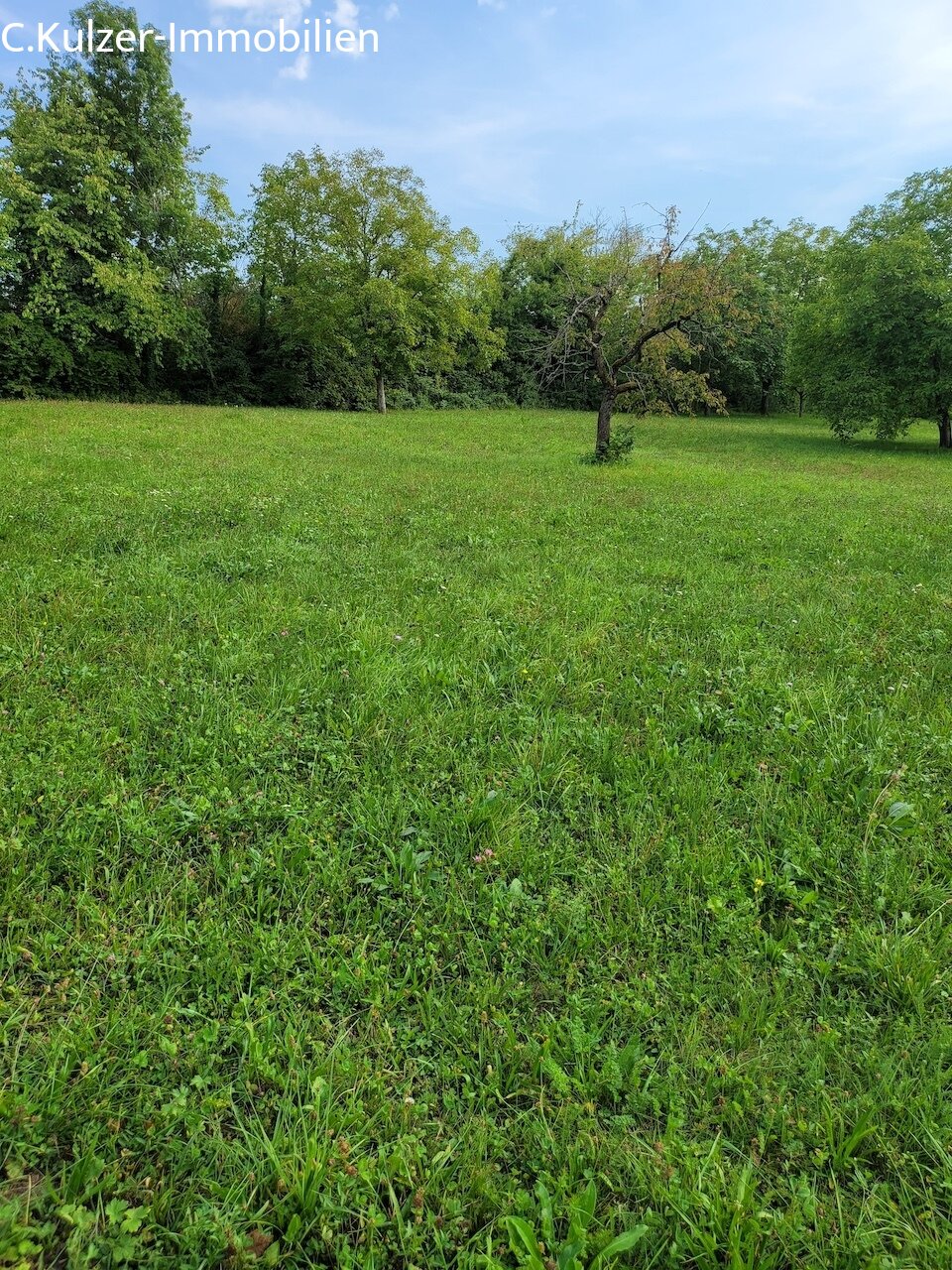20250826 164627