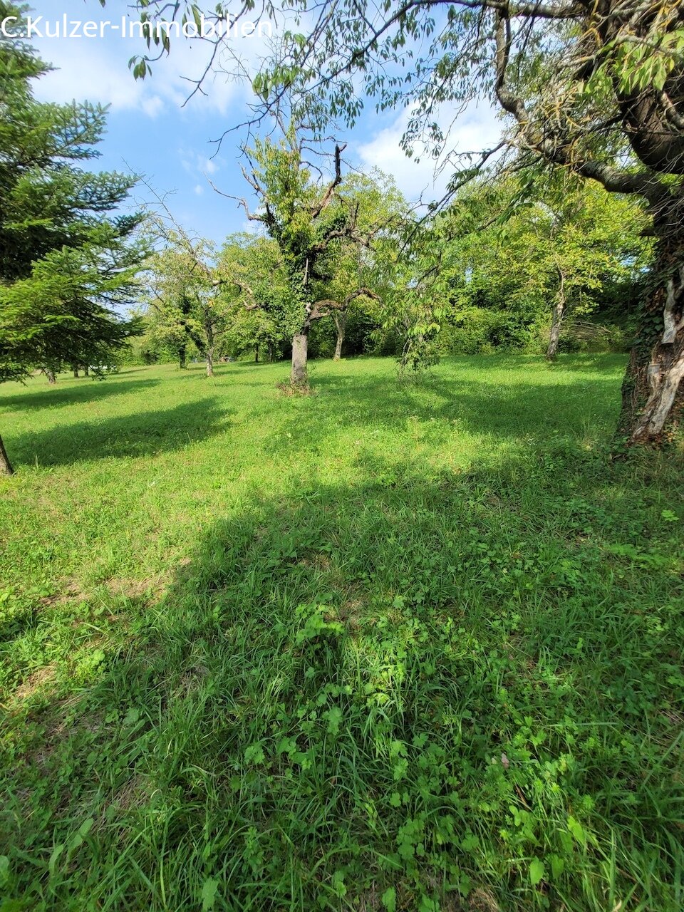 Streuobstwiese Streuobstwiese