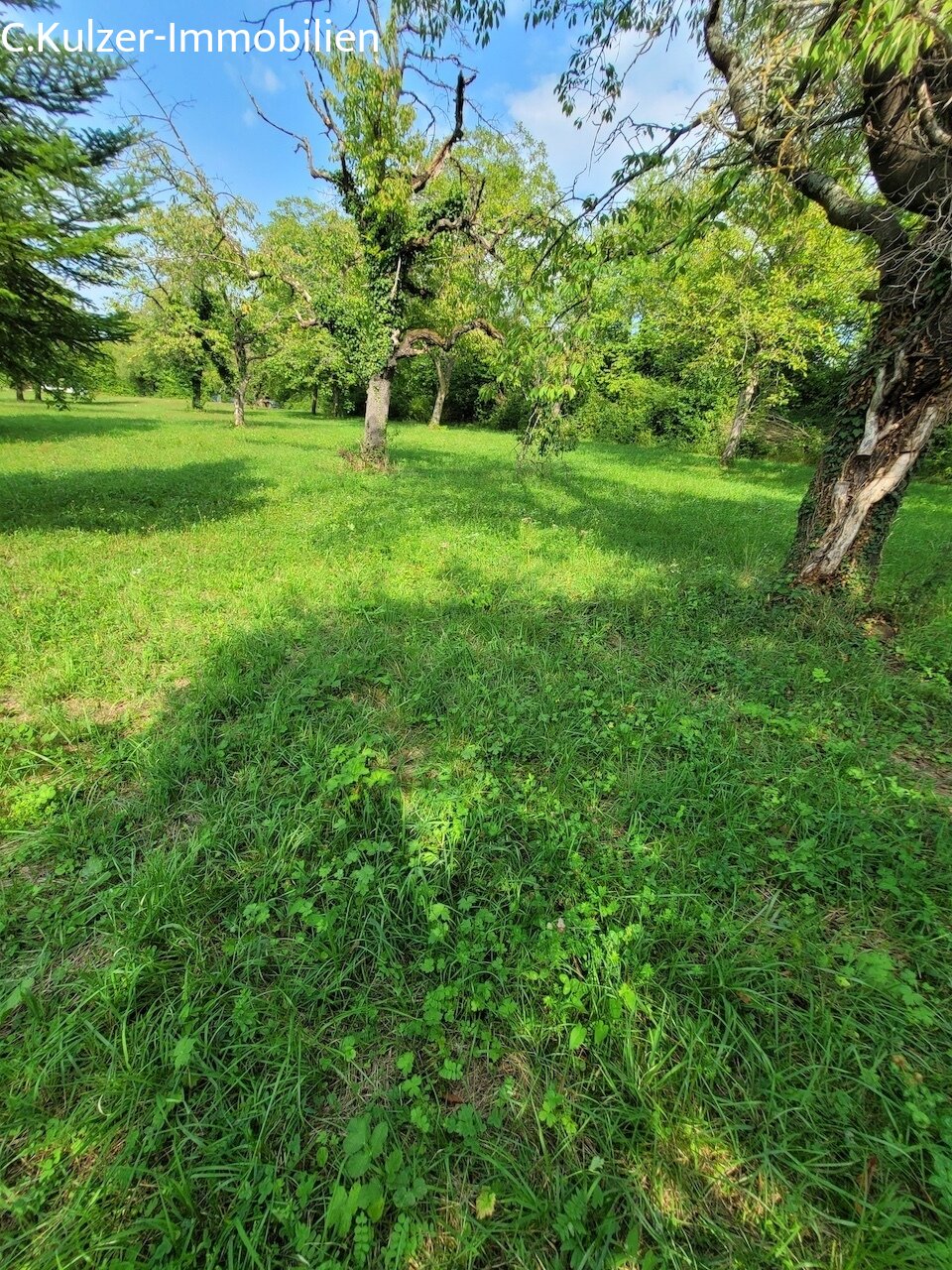 Streuobstwiese Streuobstwiese