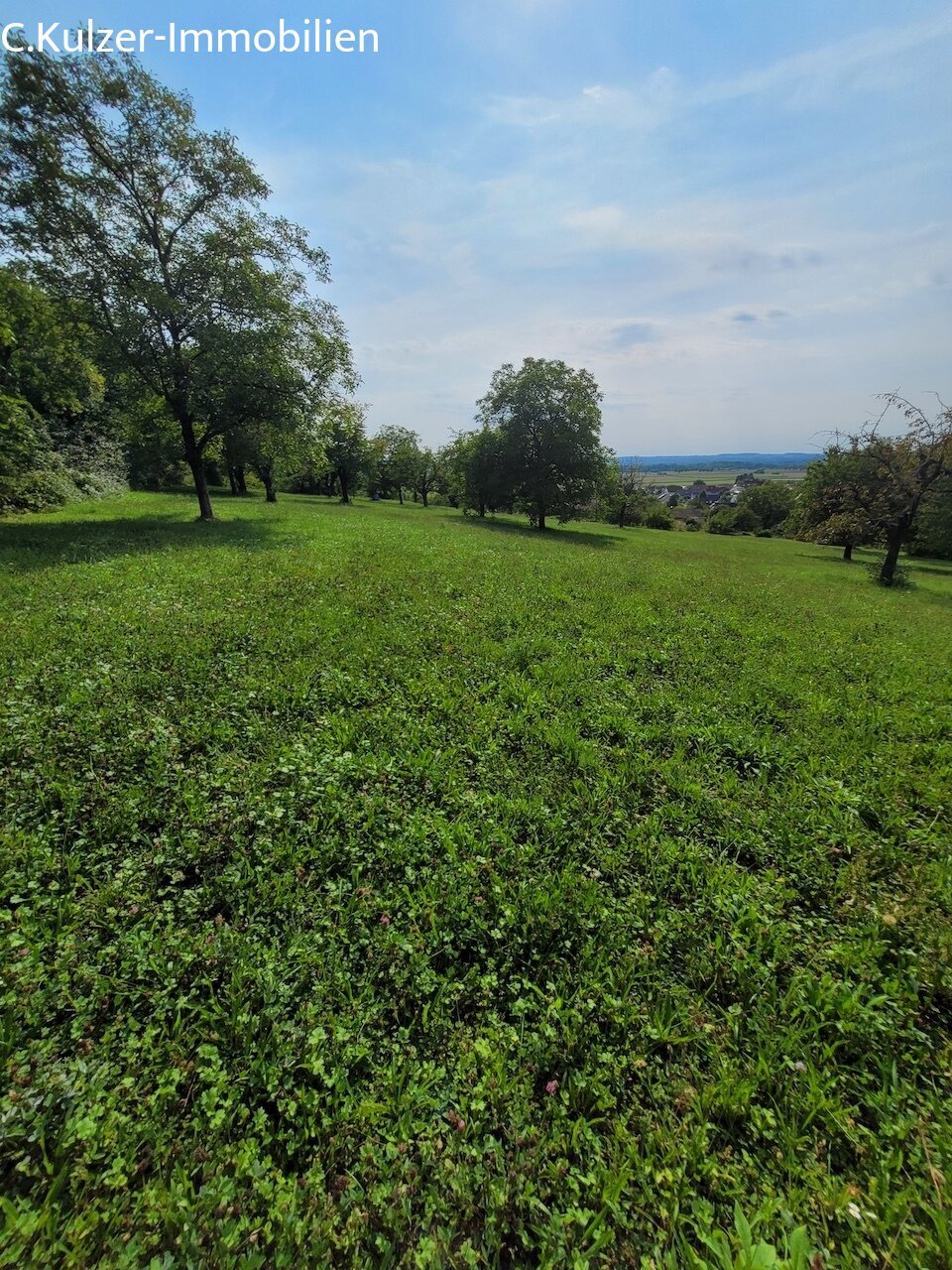Streuobstwiese Streuobstwiese