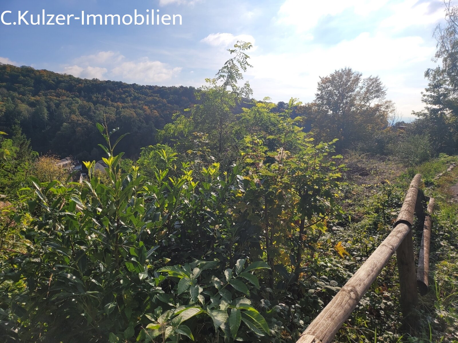 Schönes Baugrundstück für freistehendes EFH , in bevorzugter exponierter Hanglage, in Lörrach Schönes Baugrundstück für freistehendes EFH , in bevorzugter exponierter Hanglage, in Lörrach