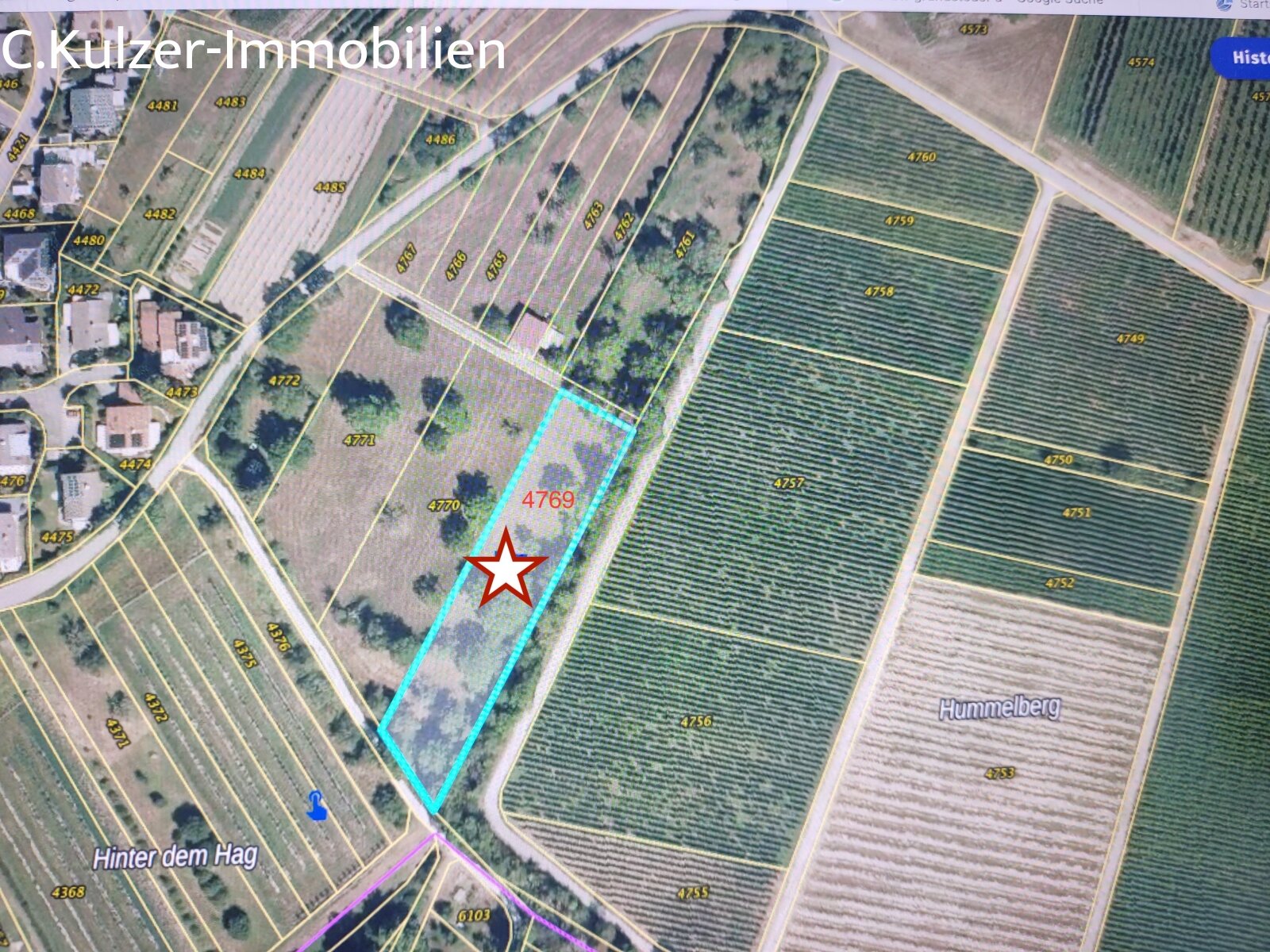 Flurstück 4769 Flurstück 4769